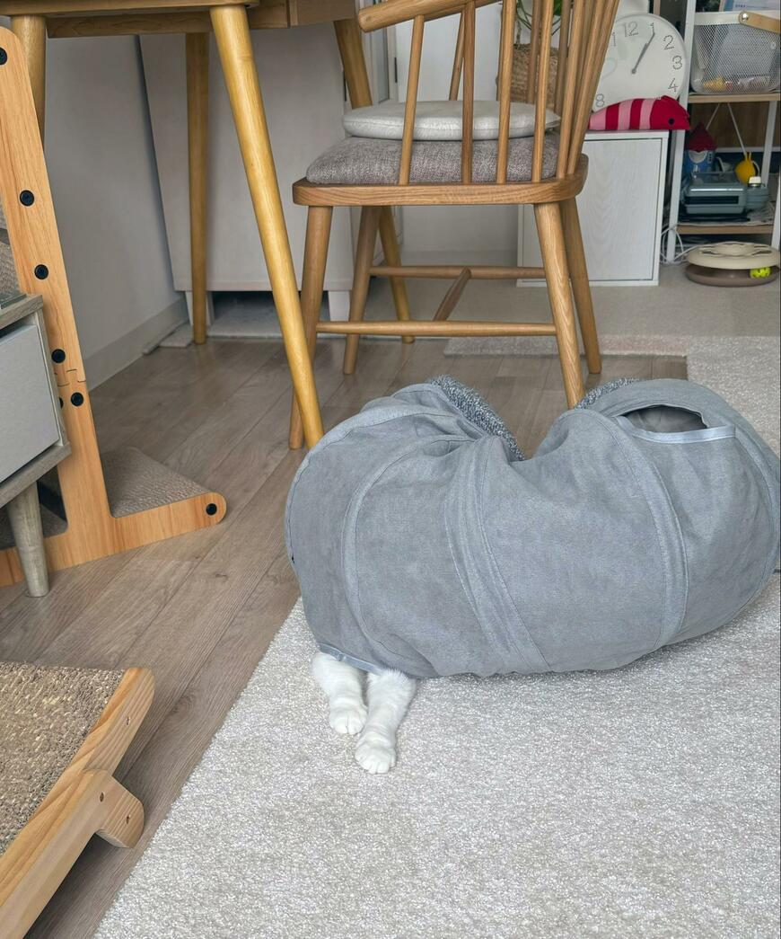 「スウェットで眠るおじさんの下に猫…？」猫の愛らしさがわかる写真に笑みがこぼれる