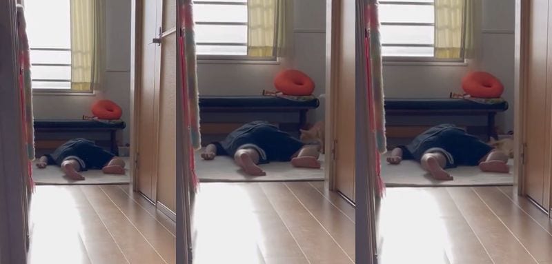 投稿動画のワンシーン