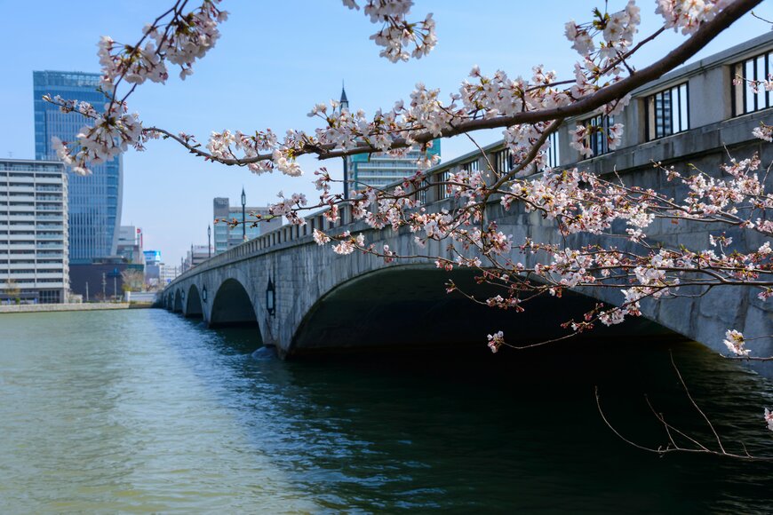 信濃川に架かる萬代橋