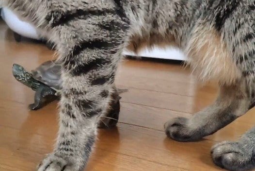 方向転換したら、小雪ちゃんが動いた！