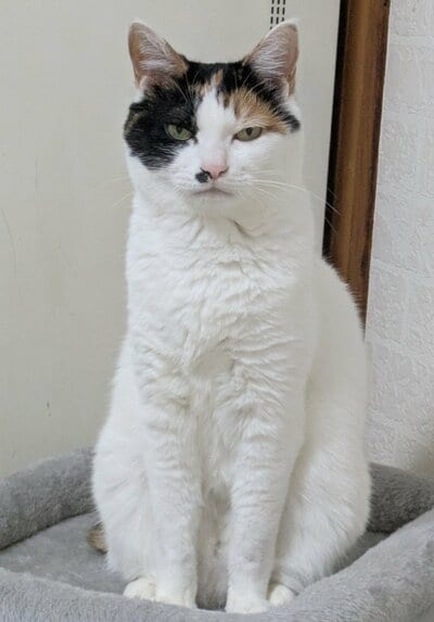 投稿者さんをジト目で見つめる