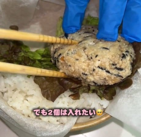 妻が夫に作る簡単＆絶品な【豆腐ハンバーグ弁当】大きな豆腐ハンバーグを2個！隙間を埋めるたくさんの副菜も美味しそう