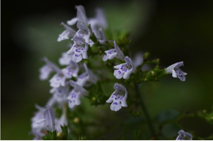undefined undefined/istockphoto.com