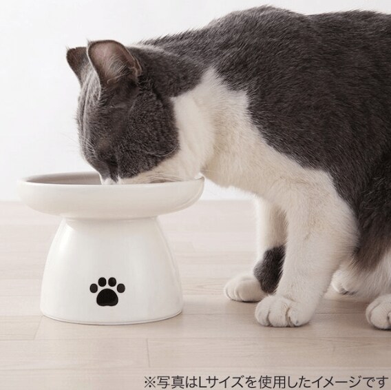裏についた滑り止めのおかげで、猫が勢いよく食べ始めても倒れにくい