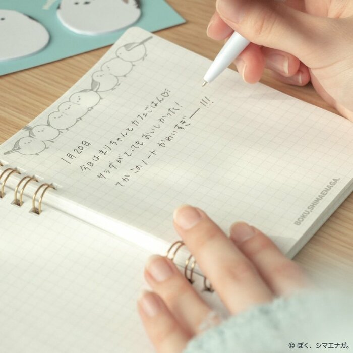 本文は5mm方眼入りなので、使いやすさもばっちり