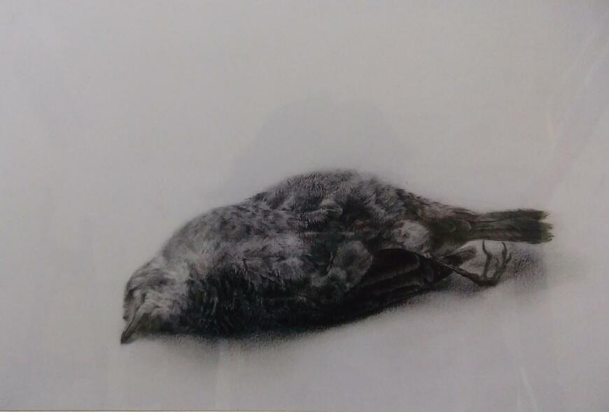 出所：@XUAhqCPELcQNiyj