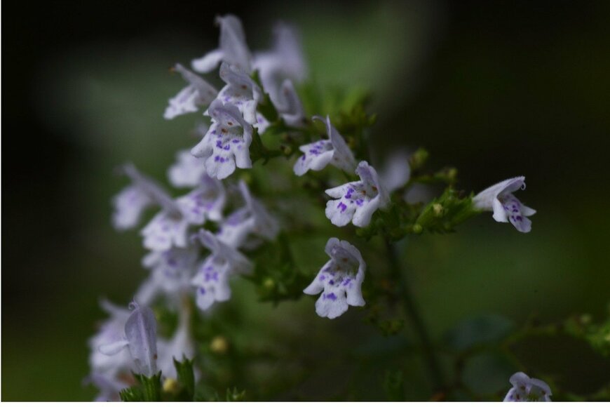 undefined undefined/istockphoto.com