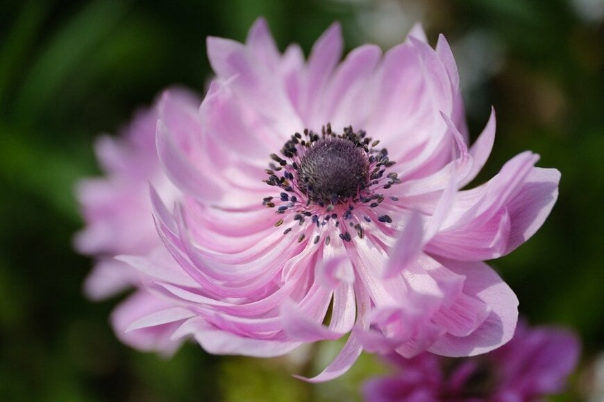 Anwarabee/istockphoto.com