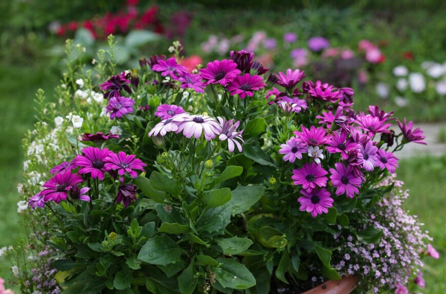 Klever_ok/shutterstock.com