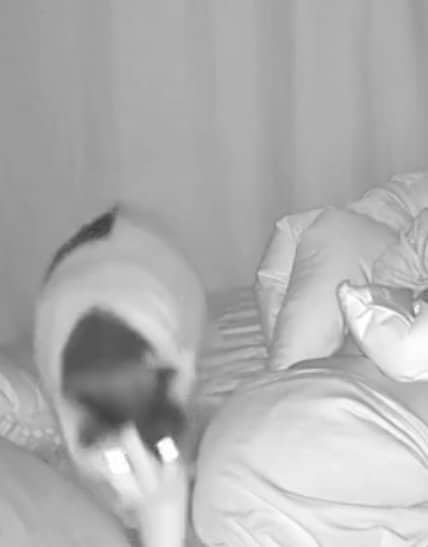 出所：@onigiri_kuri