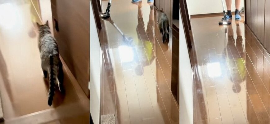 出所：@sorakai0905