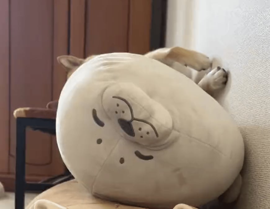 出所：@fufufufufu_ta