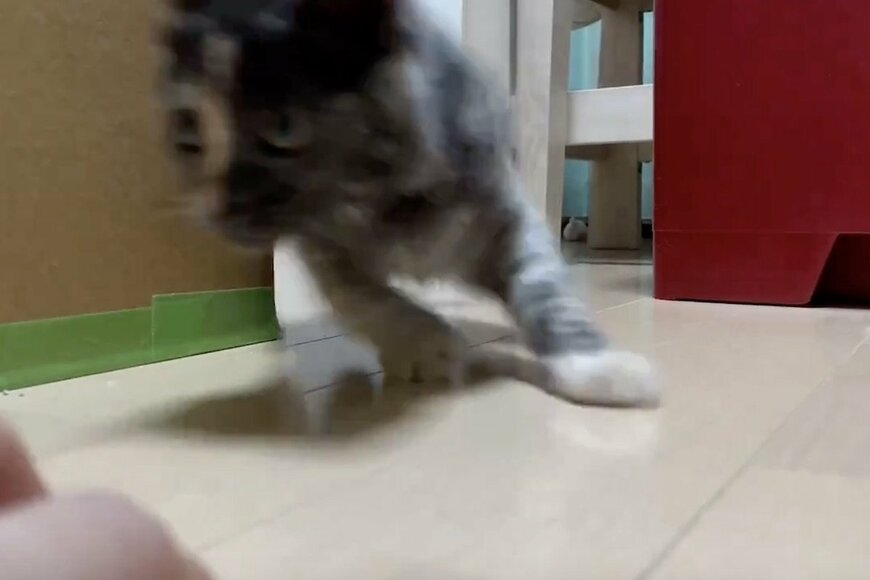 出所：@Airu14Uni05