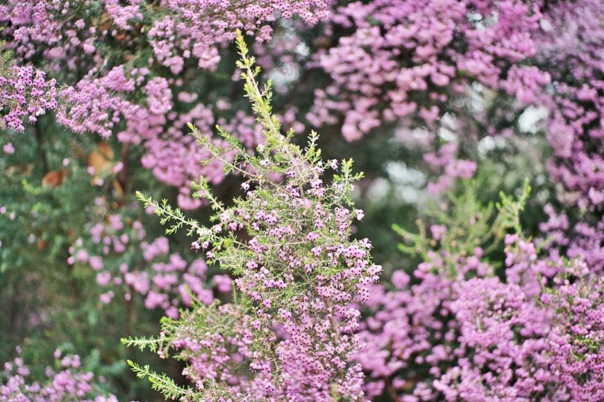 igaguri_1/istockphoto.com