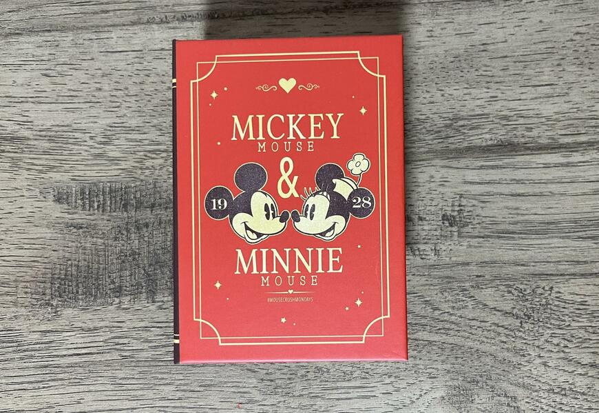 筆者撮影（セリア、ヴィンテージ風ブック型BOX/ミッキー＆ミニー）