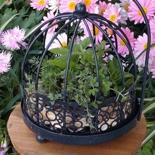 出所：ニトリ　蚊取り線香ホルダー(ケージ NXT)