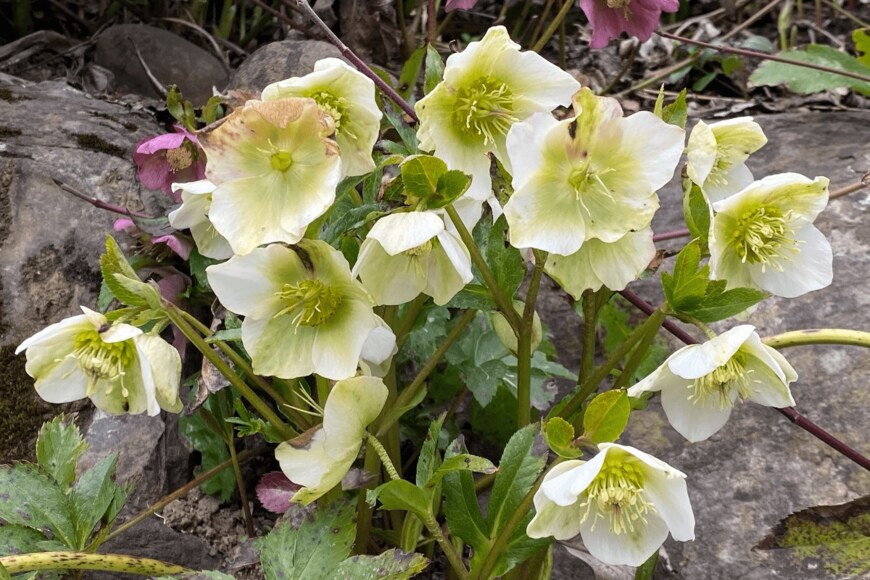 Hana-Photo/istockphoto.com