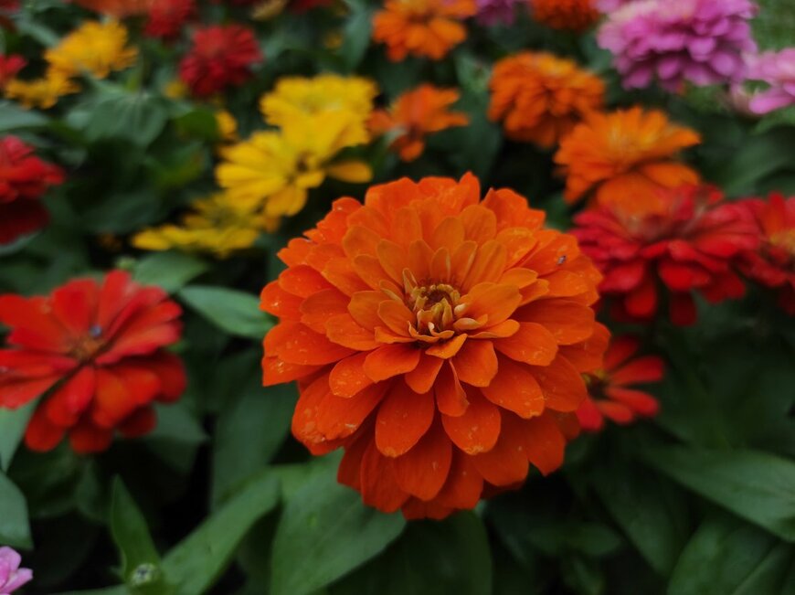 Hanna Yohanna/istockphoto.com