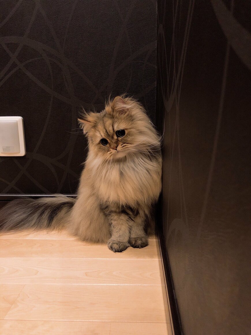 出所：@UphQepCv8J