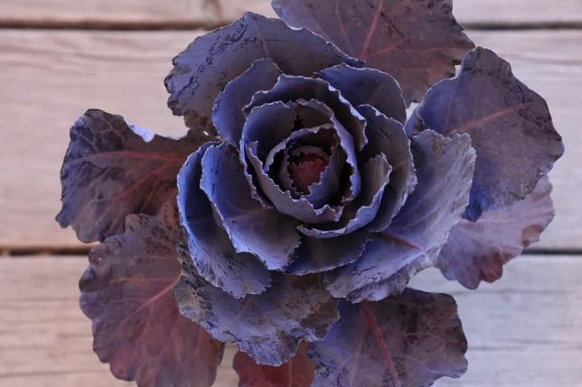 出所：筆者撮影