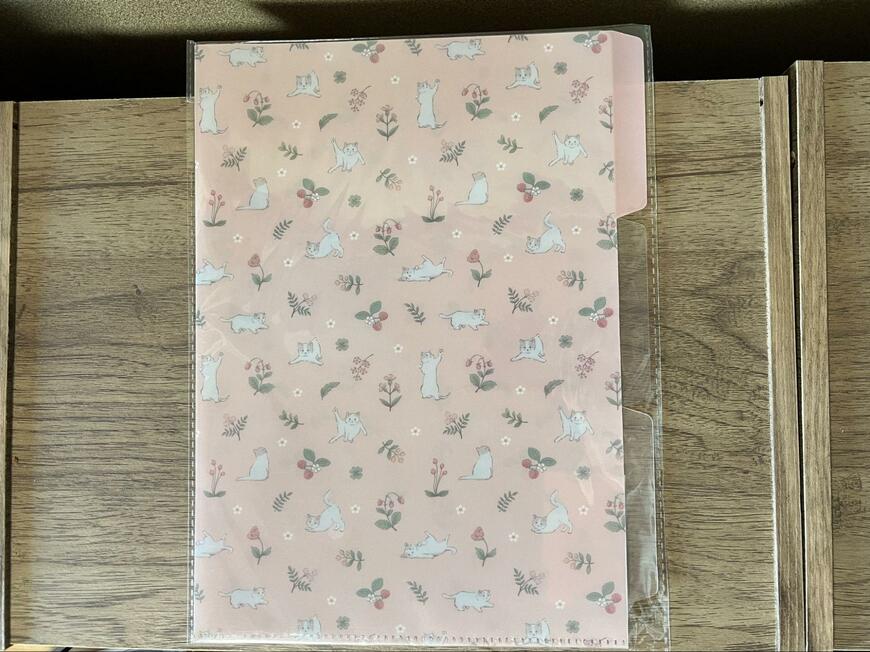 筆者撮影（セリア、LJP A4　クリアホルダー 3ポケットネコ）