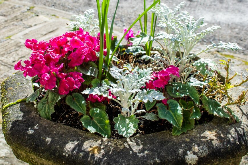 Starsphinx/shutterstock.com