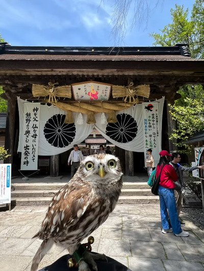 出所：@kokinme_huku