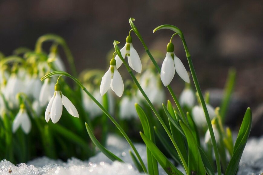 Muzka/istockphoto.com