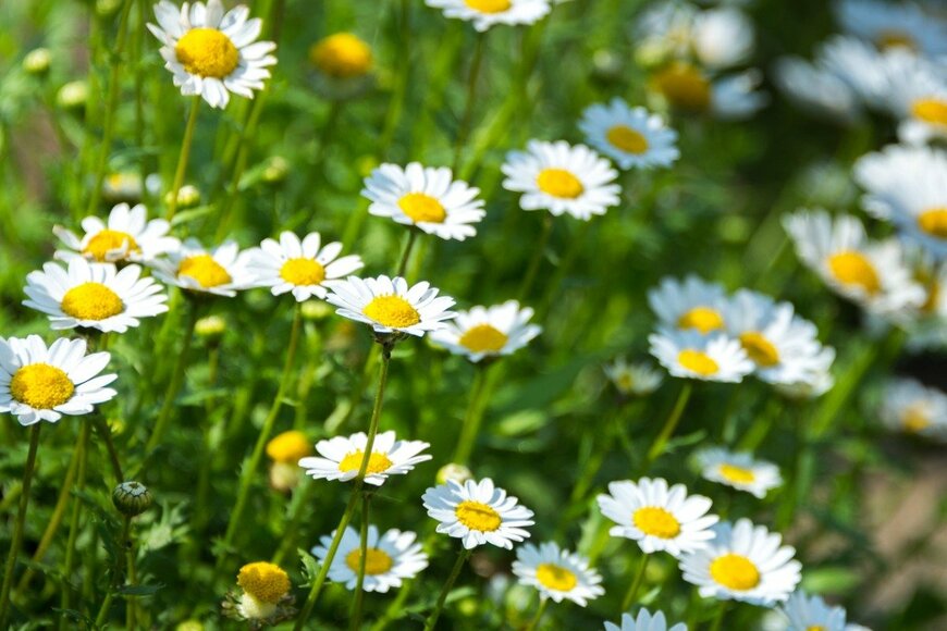 Kazzpix/istockphoto.com