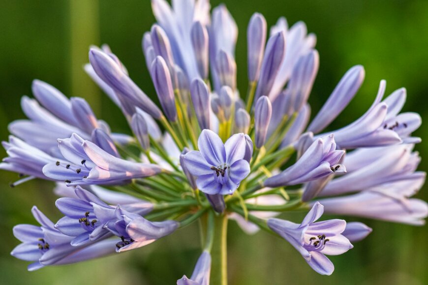 Tania Stout/shutterstock.com