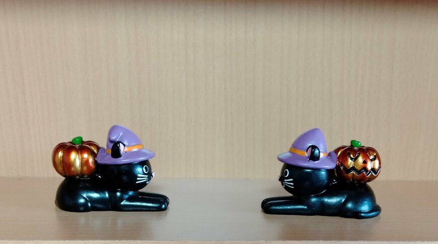 筆者撮影（セリア、リトルフレンドキャットJ・O・L）