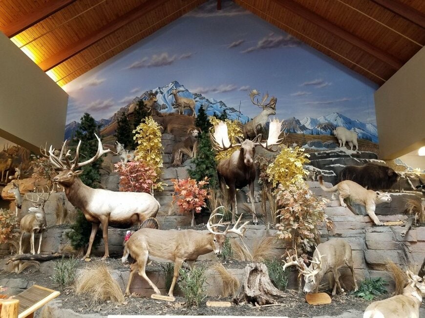 ChicagoPhotographer/shutterstock.com