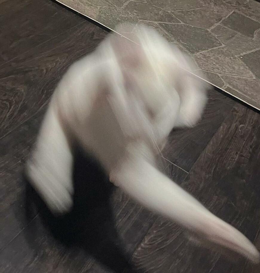 正拳突きをする猫