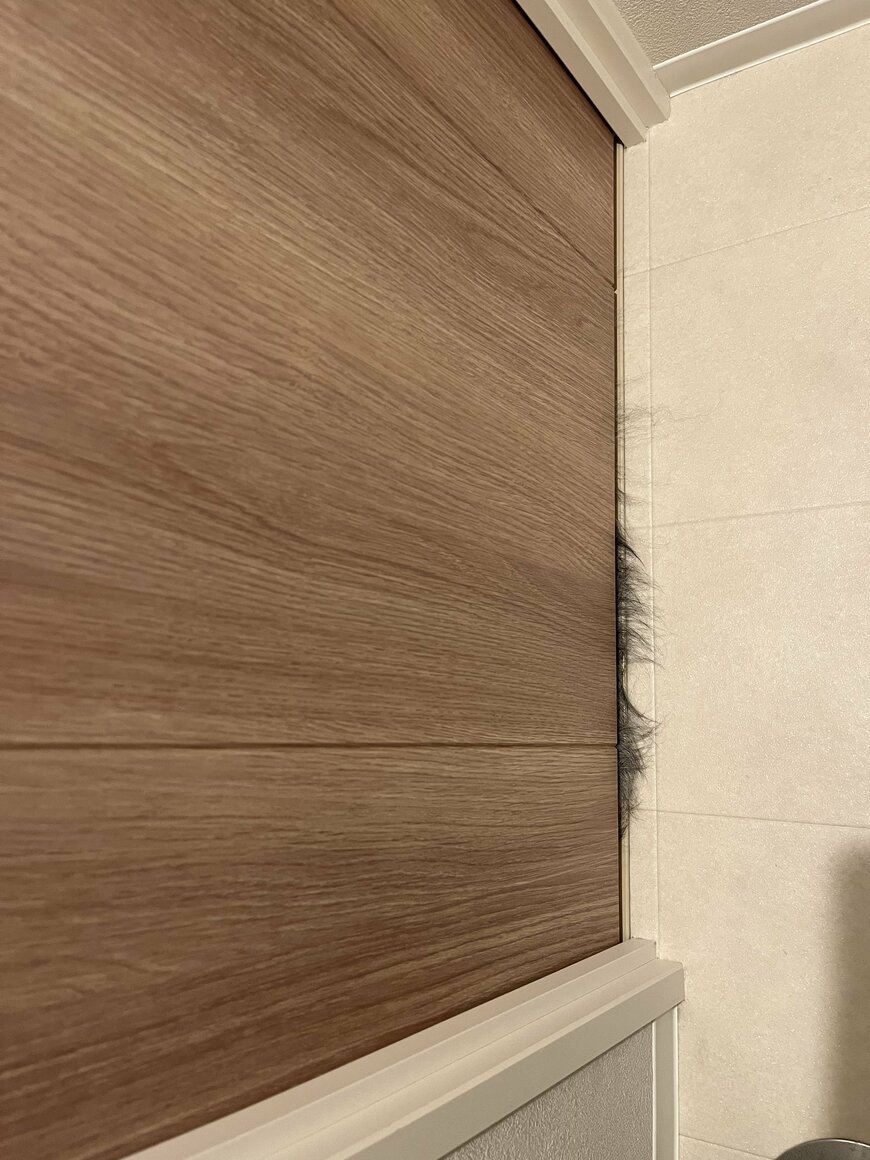 隙間から見える何かの毛