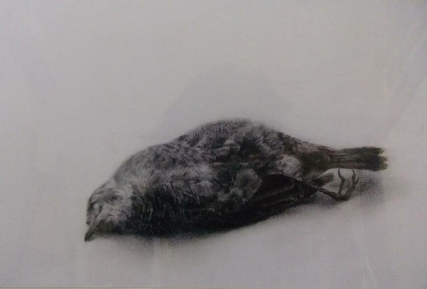 クオリティが高すぎる写実作品