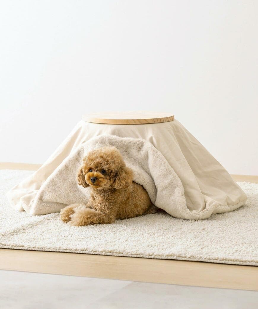 3COINS、こたつ商品画像