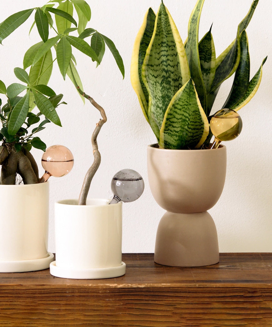 パルグループ公式ファッション通販サイト