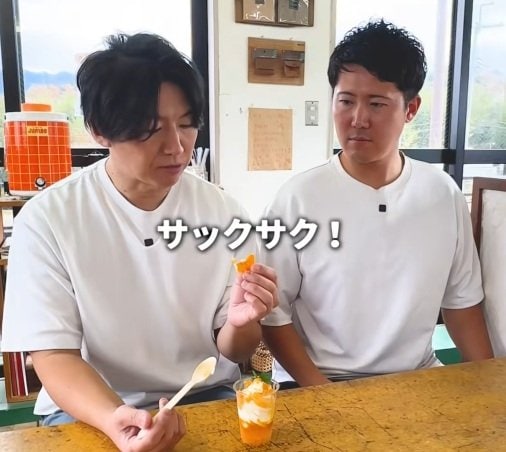 「道の駅ちはやあかさか」のみかんソフトのトッピング