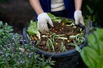 【サステナブルなガーデニング】植物や地球に優しい〈コンポスト 4選〉狭い庭やベランダでも使えます