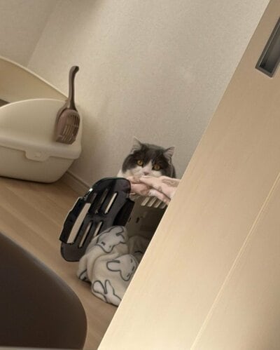 なぜか警戒態勢をとるぶりもっちちゃん