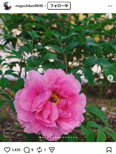 野口健のInstagram投稿