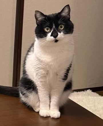 もずくちゃんの表情