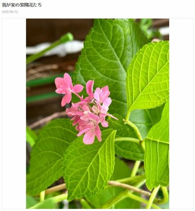 研ナオコが投稿した写真