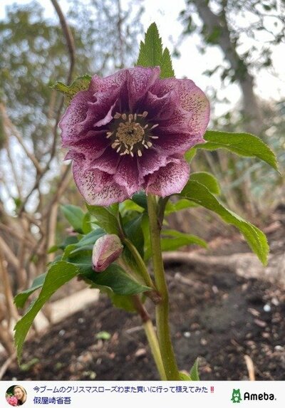 假屋崎省吾の公式ブログ投稿