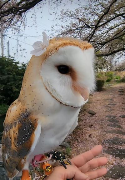 投稿動画のワンシーン