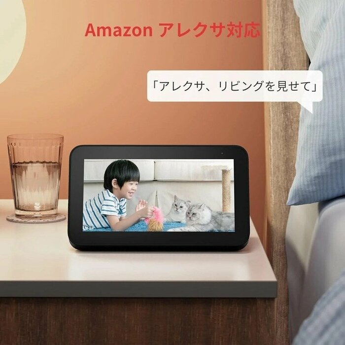 Amazonのアレクサとも連携可能なのも魅力的です