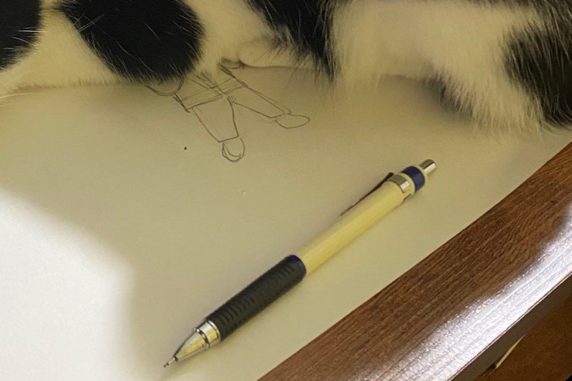 絵を描いていた飼い主　猫の阻止方法が笑っちゃう可愛さと話題に