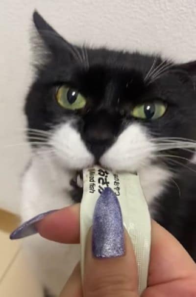 出所：@_nyan_nyan_