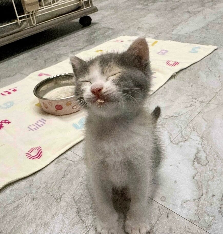 出所：@omochi_nam01