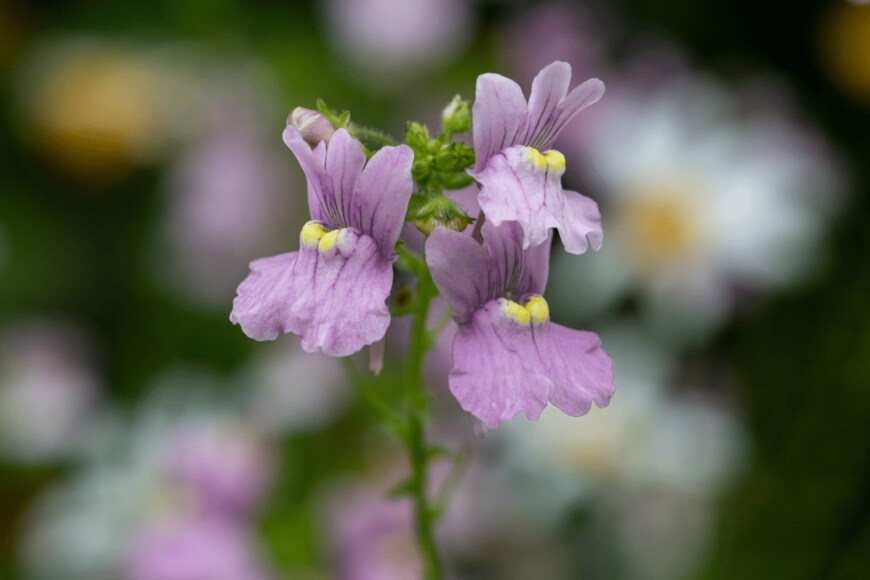 Tom Meaker/istockphoto.com